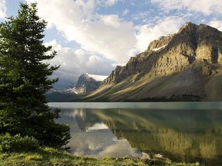 دوست یابی